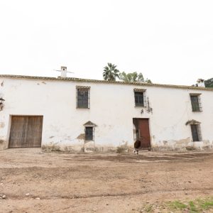 VENTA DE FINCA AGRÍCOLA Y GANADERA EN EL MUNICIPIO DE MORÓN DE LA FRONTERA (SEVILLA) ref15002