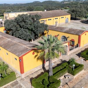 VENTA DE FINCA MULTIFUNCIONAL EN LA SIERRA DE MORÓN DE LA FRONTERA (SEVILLA) ref15003