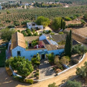 FINCA TURÍSTICA A 10 MINUTOS DE SEVILLA ref15004